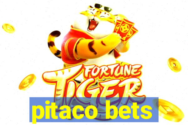 pitaco bets